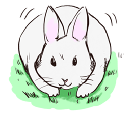 Adorable White Rabbit sticker #15743019