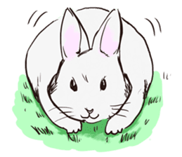 Adorable White Rabbit sticker #15743019