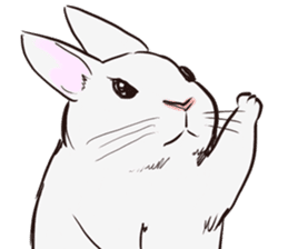 Adorable White Rabbit sticker #15743021