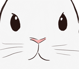 Adorable White Rabbit sticker #15743023