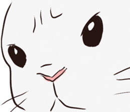 Adorable White Rabbit sticker #15743024