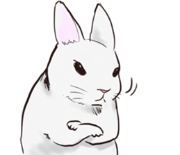 Adorable White Rabbit sticker #15743025