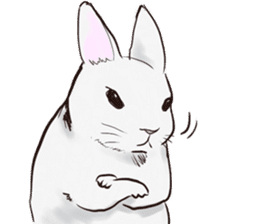 Adorable White Rabbit sticker #15743025