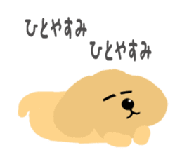 dog sticker (ver toy poodle) sticker #15745553