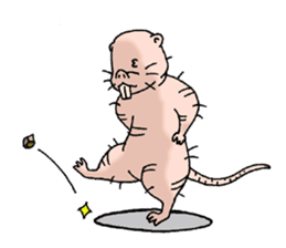 naked mole rat english02 sticker #15745735