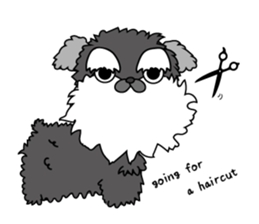 This is a schnauzer sticker #15747379