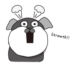 This is a schnauzer sticker #15747388