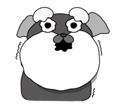 This is a schnauzer sticker #15747398