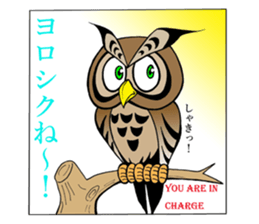 LUCKY OWL Ho-Chan sticker #15747722