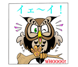 LUCKY OWL Ho-Chan sticker #15747724