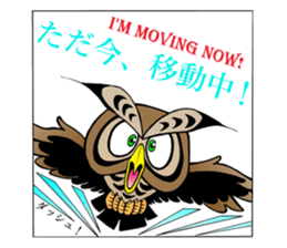 LUCKY OWL Ho-Chan sticker #15747726