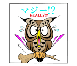 LUCKY OWL Ho-Chan sticker #15747727