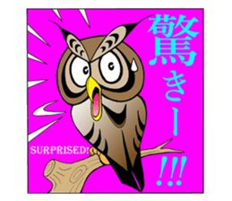 LUCKY OWL Ho-Chan sticker #15747741