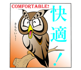LUCKY OWL Ho-Chan sticker #15747744