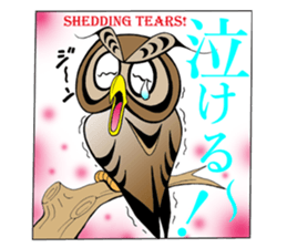 LUCKY OWL Ho-Chan sticker #15747746