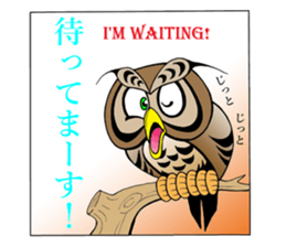 LUCKY OWL Ho-Chan sticker #15747759