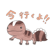 African fat-tailed gecko sticker #15747769