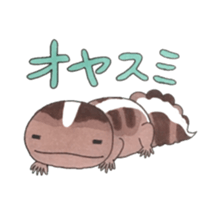 African fat-tailed gecko sticker #15747770