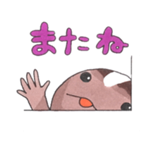 African fat-tailed gecko sticker #15747771