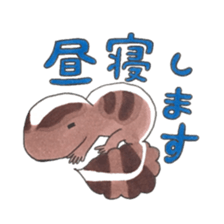 African fat-tailed gecko sticker #15747778