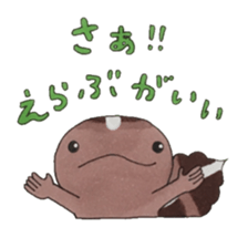 African fat-tailed gecko sticker #15747788