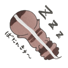 African fat-tailed gecko sticker #15747795