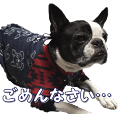 frenchbulldogfan sticker #15748203