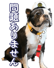 frenchbulldogfan sticker #15748212