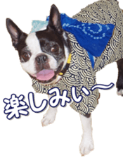 frenchbulldogfan sticker #15748217
