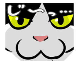 A little fat cat animation 3 sticker #15748548