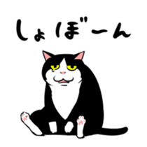 A little fat cat animation 3 sticker #15748556