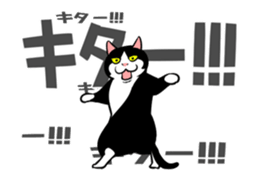 A little fat cat animation 3 sticker #15748557