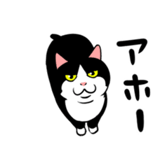 A little fat cat animation 3 sticker #15748561