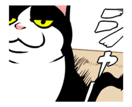 A little fat cat animation 3 sticker #15748568