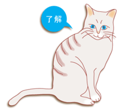 a cat enjoying a slowly life sticker #15749203