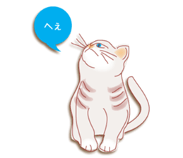 a cat enjoying a slowly life sticker #15749204