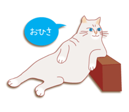 a cat enjoying a slowly life sticker #15749209