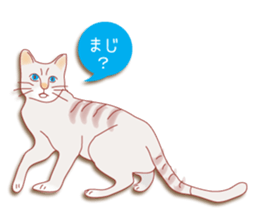 a cat enjoying a slowly life sticker #15749212