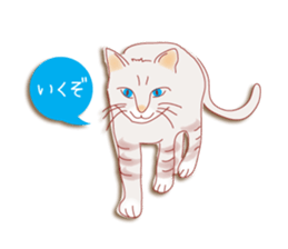 a cat enjoying a slowly life sticker #15749215