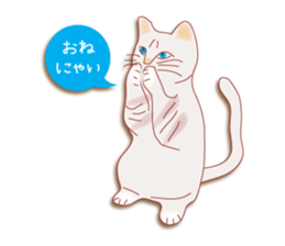 a cat enjoying a slowly life sticker #15749216
