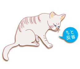 a cat enjoying a slowly life sticker #15749217