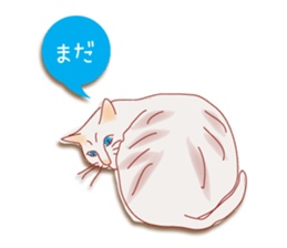 a cat enjoying a slowly life sticker #15749221