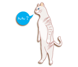 a cat enjoying a slowly life sticker #15749223