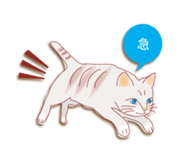 a cat enjoying a slowly life sticker #15749224