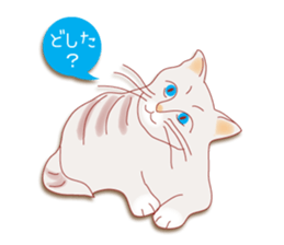 a cat enjoying a slowly life sticker #15749226
