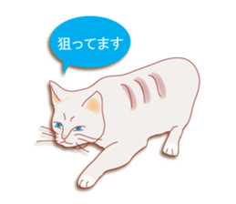 a cat enjoying a slowly life sticker #15749231