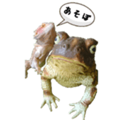 FUTOAGO OKOGE sticker #15749853