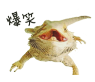 FUTOAGO OKOGE sticker #15749859