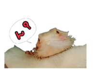 FUTOAGO OKOGE sticker #15749860