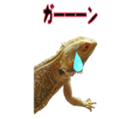 FUTOAGO OKOGE sticker #15749861